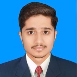 Muhammad Mohsin Haseeb