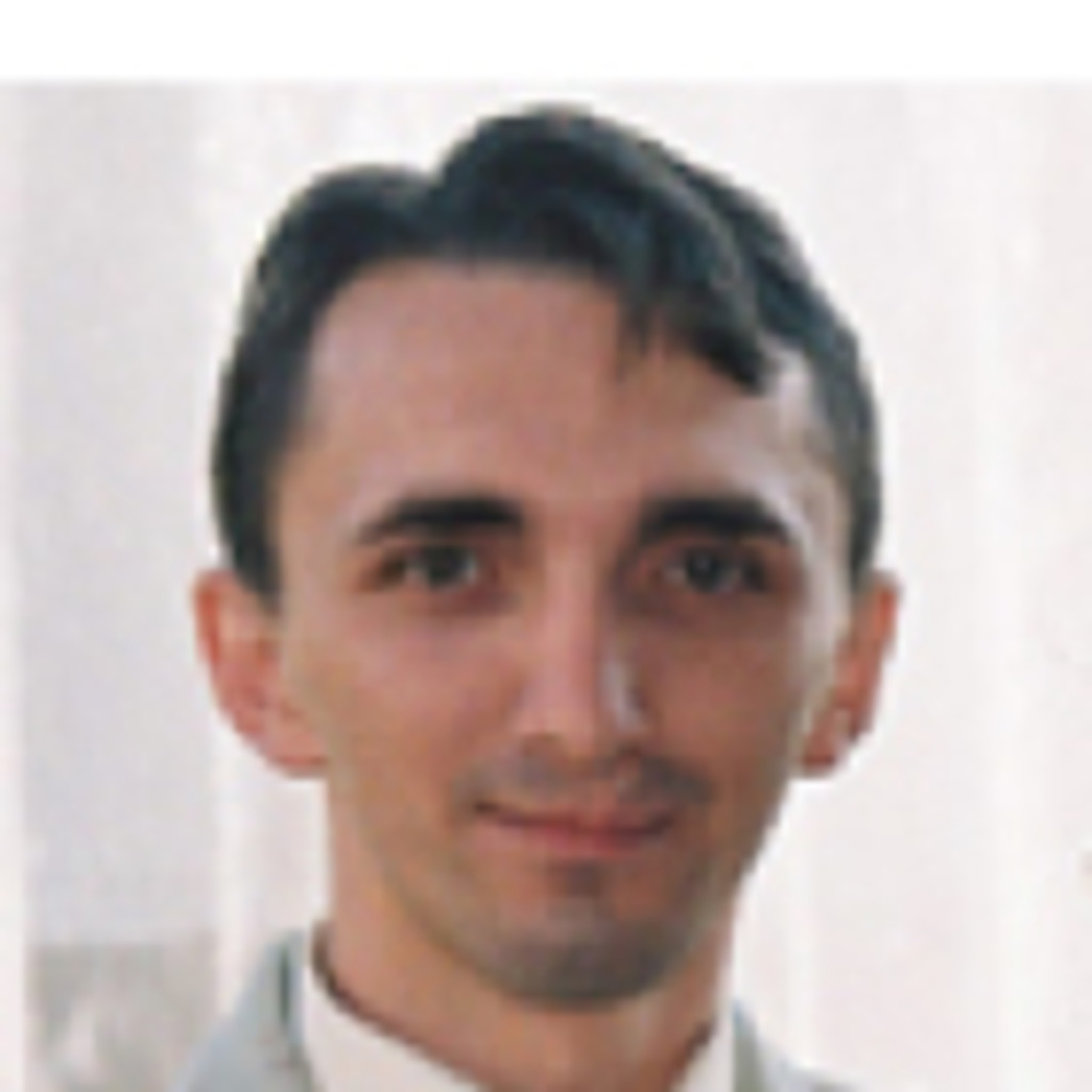 Stefan Baczoni Business System Architect Flextronics International