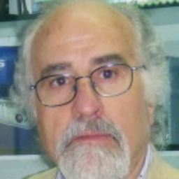 Antonio Cerda Barbera