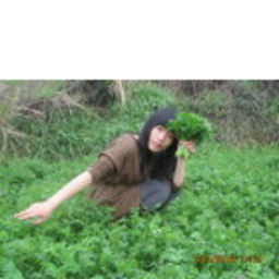 Cici Ge