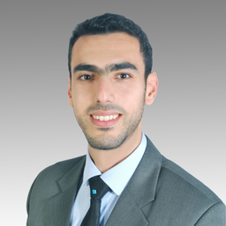 Ing. El Mehdi TAMASNA