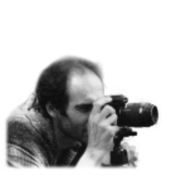 Siegfried Straube