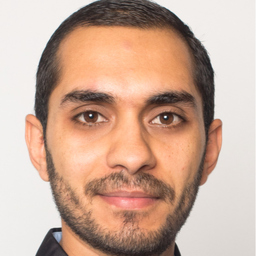 Ahmed Husham Hassan