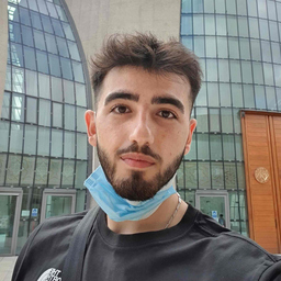 Nour Aldeen Haj Moustafa