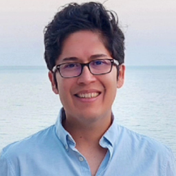 Carlos Lozano Flores