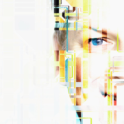 Frank Gschwandtner's profile picture
