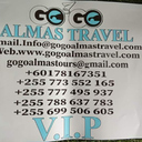 GO-GO ALMAS TOURS