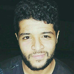 alaa mezni