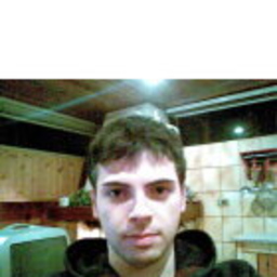 Luca Petrini