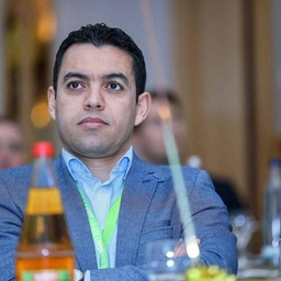 Mehrez Saidi