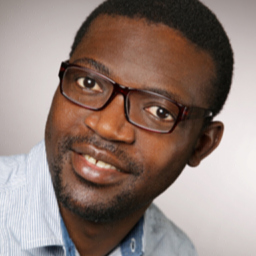 Ing. Yessoufou Kodjo's profile picture