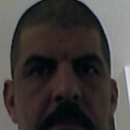 Mahmoud Bahbah