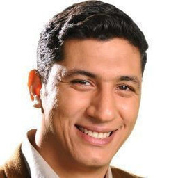 Dipl.-Ing. Sherif Mohamed