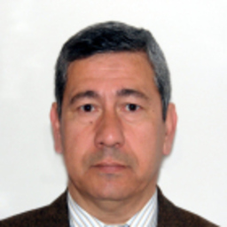 Giorgio Guardabassi