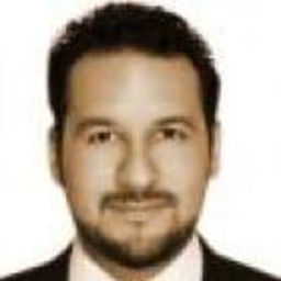Homero Villarreal Salas