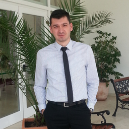 Dipl.-Ing. Sergiu-Vlad Marusca