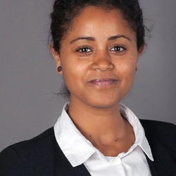 Ing. Kumneger Demeke Mulugeta