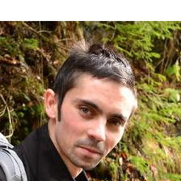 Lucian Mija