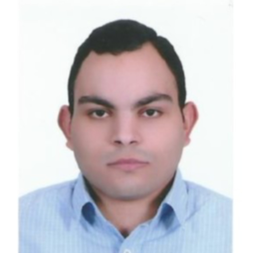 Mohammed Ragab - Chief Executive Officer (CEO) - Aussiegy Bioenergy | XING