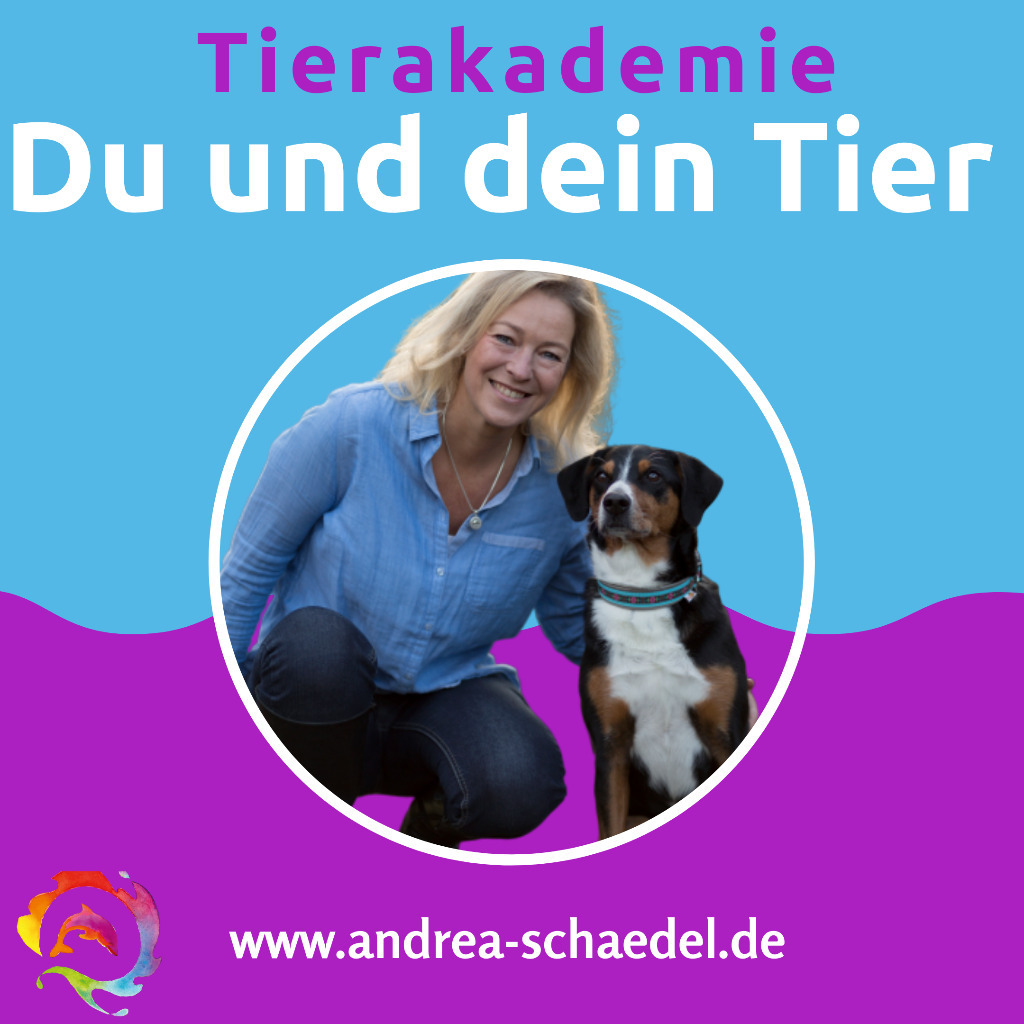 Social Media Profilbild Andrea Schädel Haag in Oberbayern