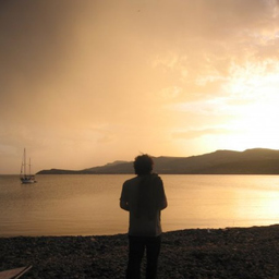 Erhan Arguc