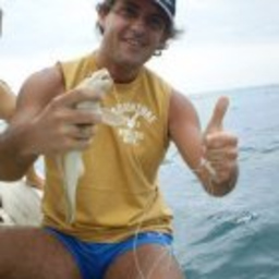 Sandro Acchiardi