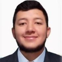 Nicolas Felipe Santoyo Vega