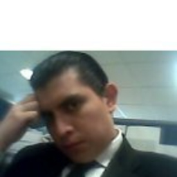 Israel Flores Luna