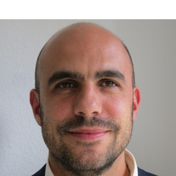 Vincent Laulagnet