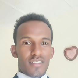 Abebe Alemu Wendimu