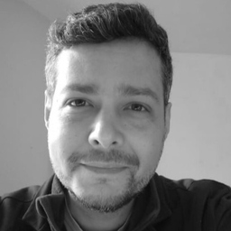 Filipe Pedrini