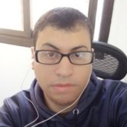 mahmoud amsha