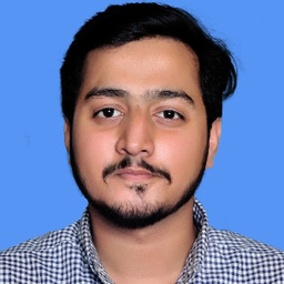 hassan raza