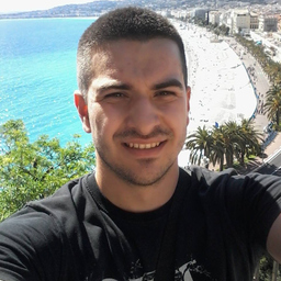 Dipl.-Ing. Predrag Jaksic