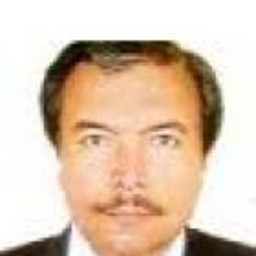 Georgios Meroussis Arriz