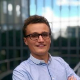 David Maximilian Mann