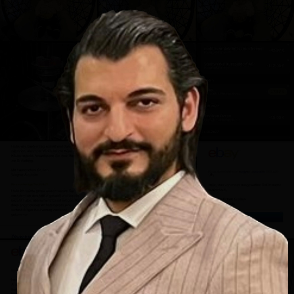 Soner Sen Financial Analyst Protiviti Deutschland XING