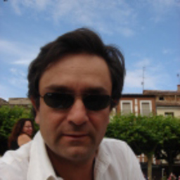 Luis Fernandez