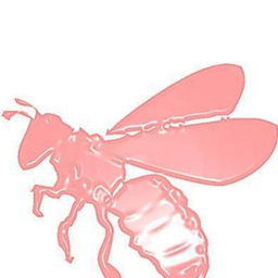 Apetta Swarmy