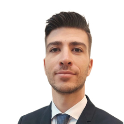 Ing. Giovanni Francesco Laporta