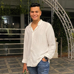 Mohamed Aladawy