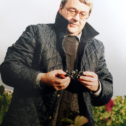 Günter Schimmer