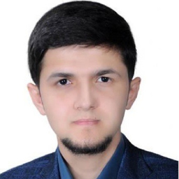 Sayed Sajjad Haidari
