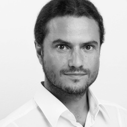 Dr. Liviu Mantescu