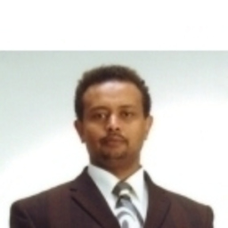 Dipl.-Ing. Medhanie Goitom