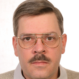 Dipl.-Ing. Hubert Laugisch's profile picture