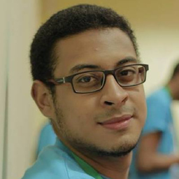 Ing. Omar Hussein
