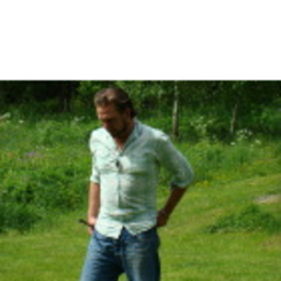 Stuart Iain Greive