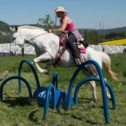Doro Katscher-Honig's profile picture