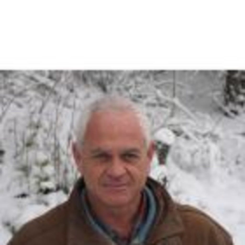 Ami Sidi ceo dingo XING